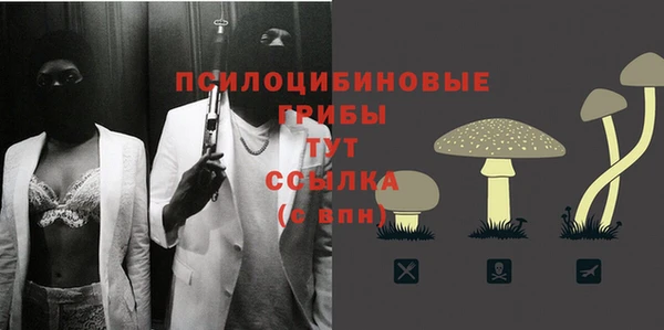дурь Липки