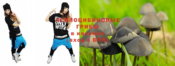 гидропоника Лиски
