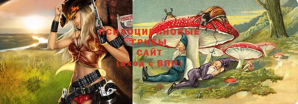 дурь Липки