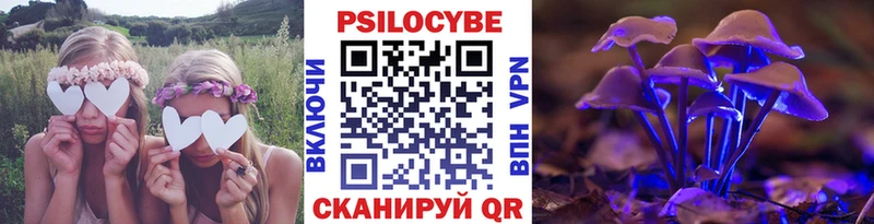 Псилоцибиновые грибы Psilocybine cubensis  это какой сайт  Наволоки  закладка 